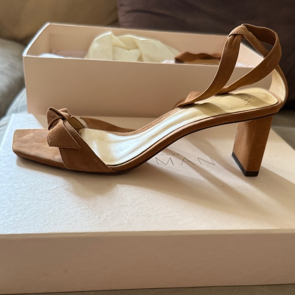 Alexandre Birman Brown Ankle Strap Sandals